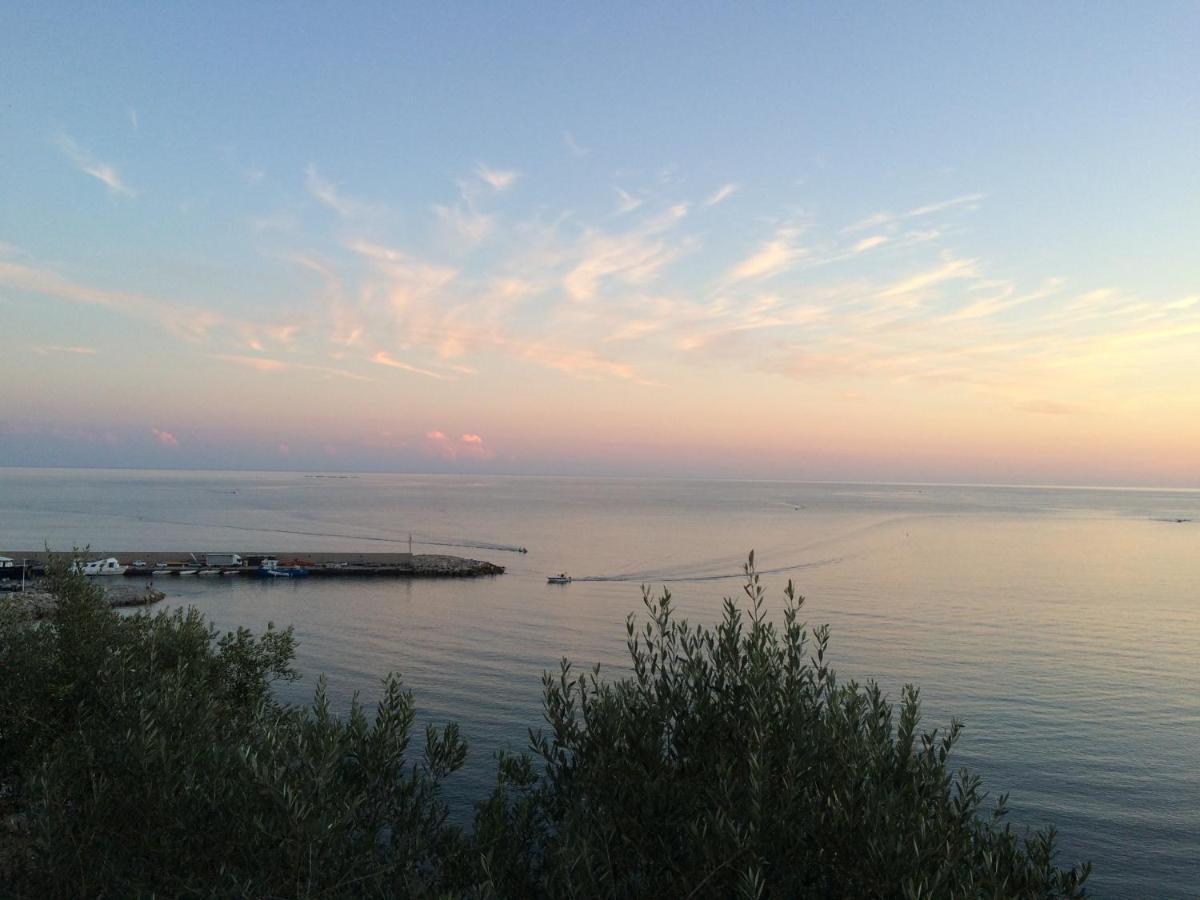 Villa Martina Mare Casal Velino Dış mekan fotoğraf