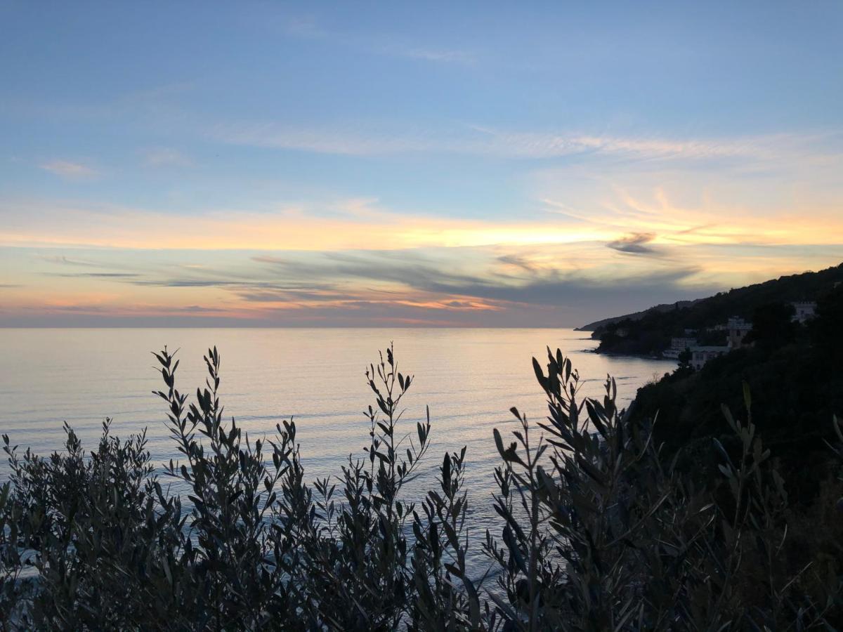 Villa Martina Mare Casal Velino Dış mekan fotoğraf